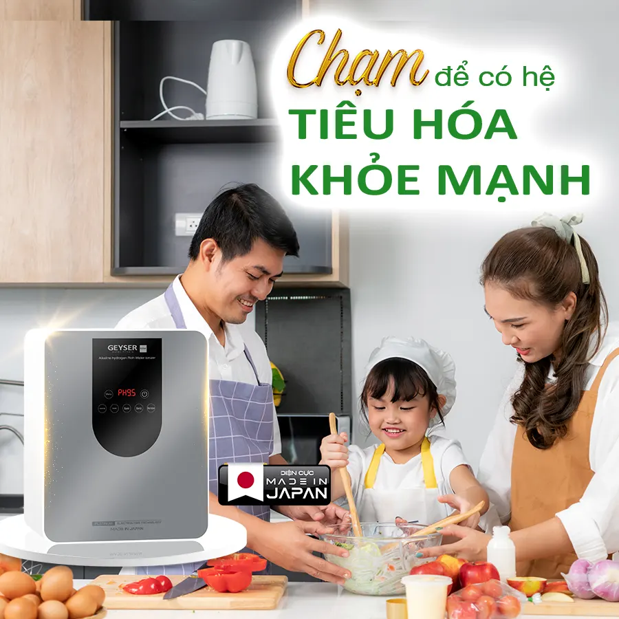 Máy lọc nước ion kiềm giàu hydro Geyser Ecotar 9 Pro